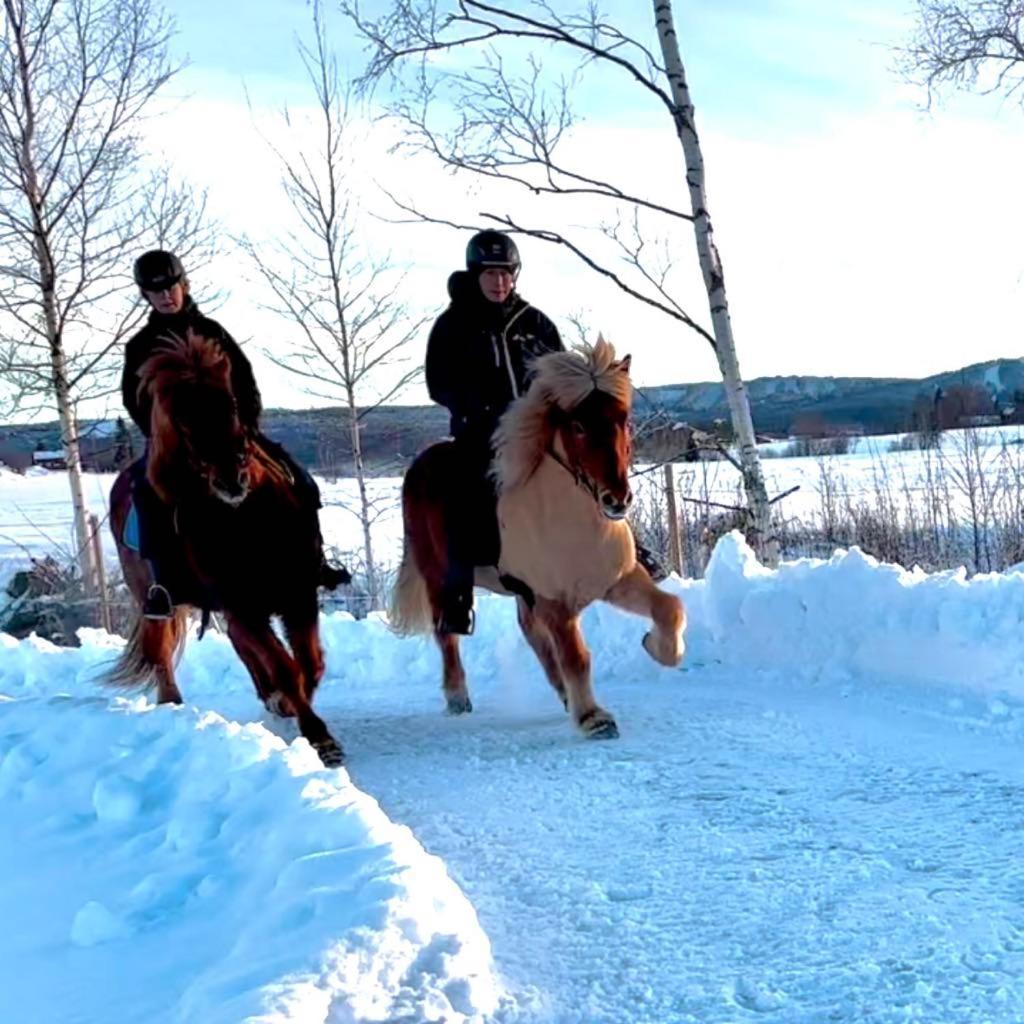 Utsikten Borlänge Buitenkant foto