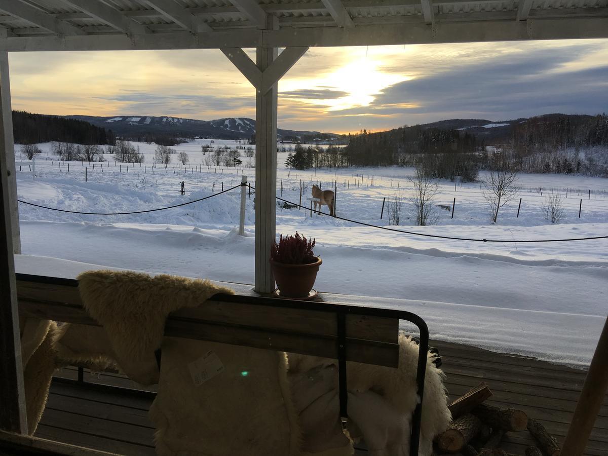 Utsikten Borlänge Buitenkant foto